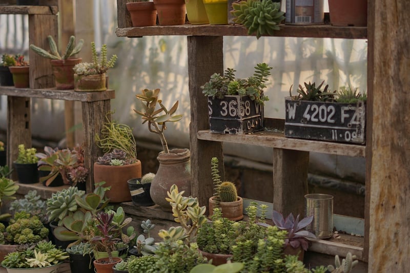 Indoor Gardening