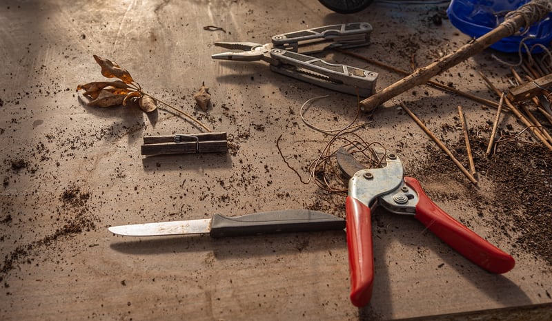 Pruning